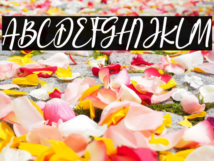 the stronghold Example 2