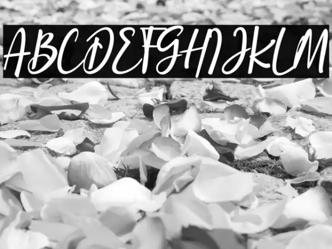 the stronghold Font examples