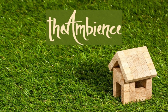 theAmbience Font examples