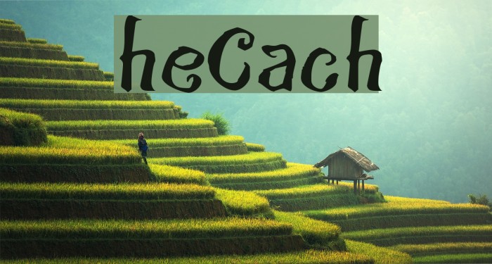 theCroach Шрифта examples