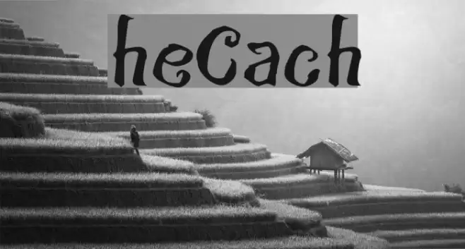 theCroach Шрифта examples
