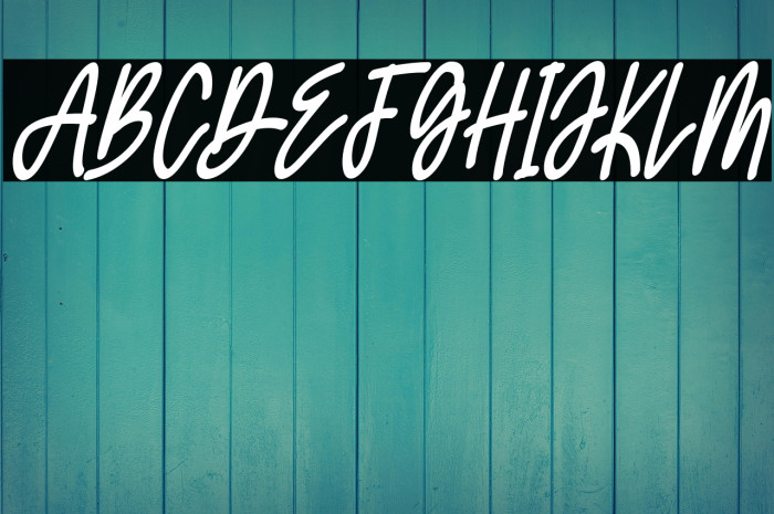 theRolldesFREE Example 1