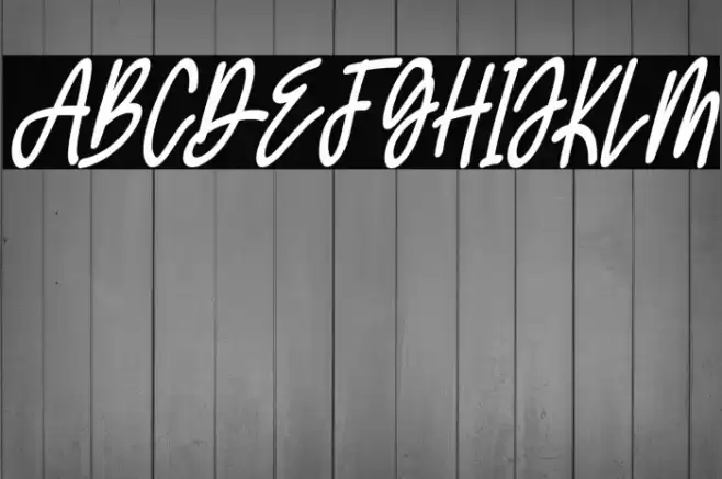 theRolldesFREE 字体 examples