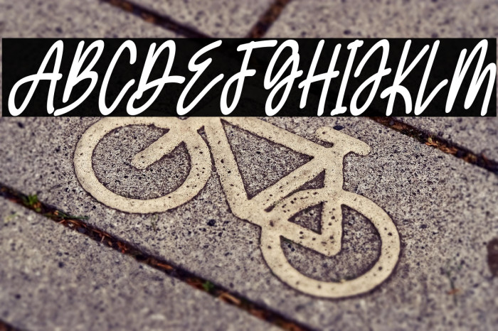 theRolldesFREE Example 3