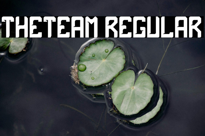 theTeam Regular Example 1