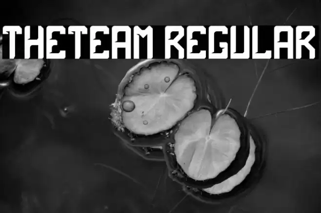 theTeam Regular Font examples