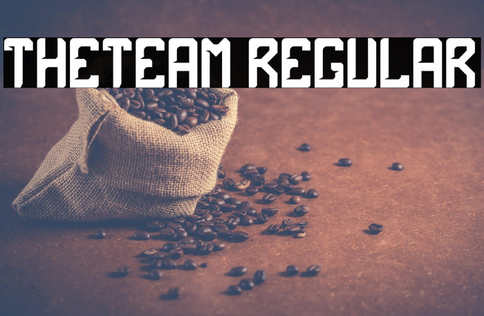 theTeam Regular Example 2