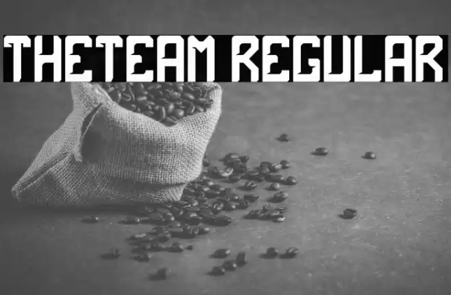 theTeam Regular Font examples