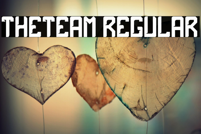 theTeam Regular Example 3