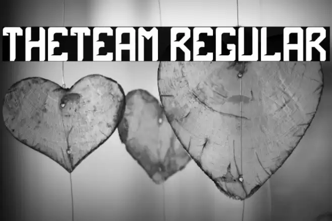 theTeam Regular Font examples