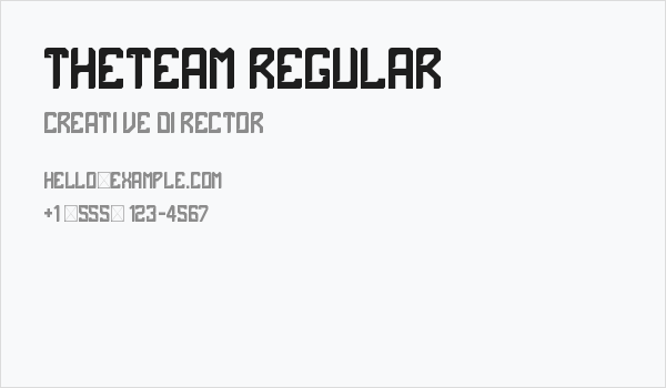theTeam Regular Business Card