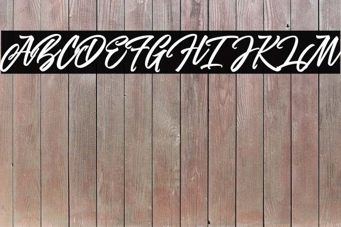 theWoofeyScript Font examples