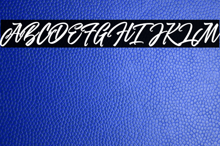 theWoofeyScript Font examples