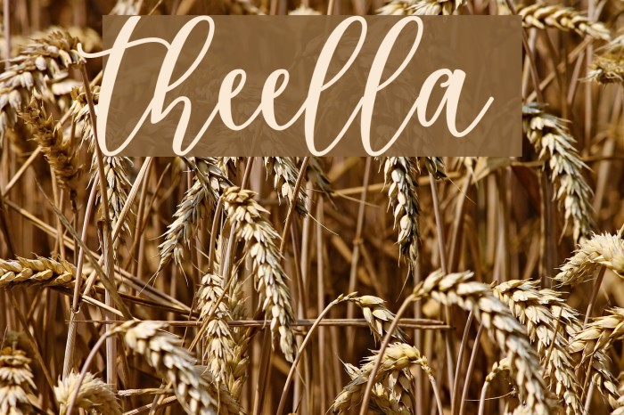 theella Font examples