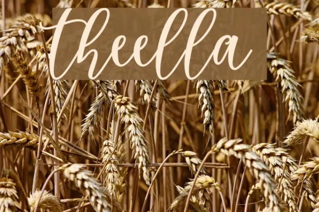 theella Example 2