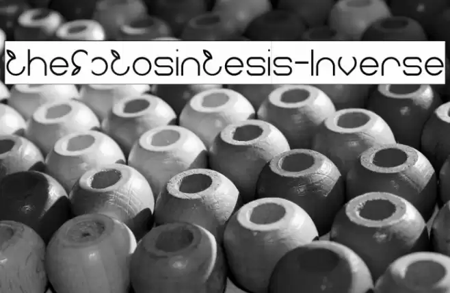 thefotosintesis-Inverse Font examples