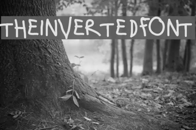 theinvertedfont Schriftart examples