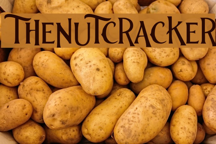 thenutcracker Polices examples