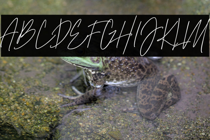 theraphiest Example 1