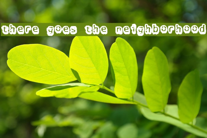 there goes the neighborhood Font examples