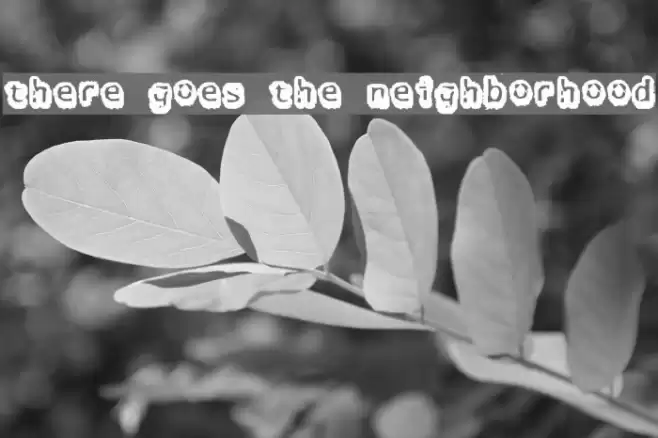 there goes the neighborhood Font examples