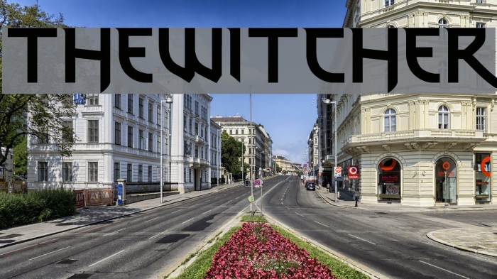 thewitcher Font examples