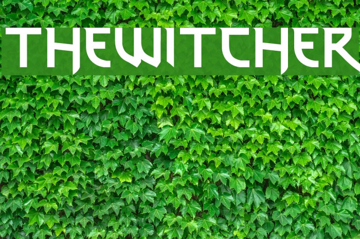thewitcher Font examples