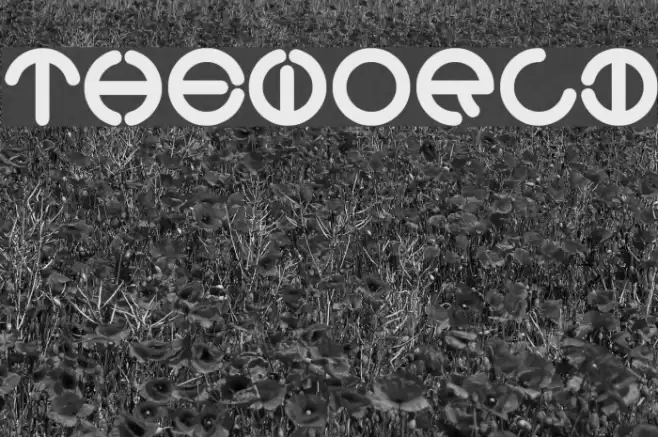 theworld Font examples