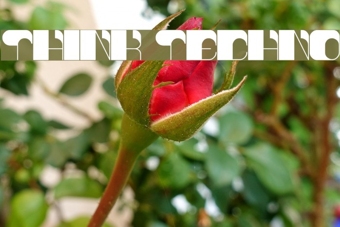 think techno Example 1