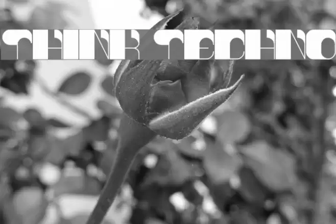 think techno Font examples