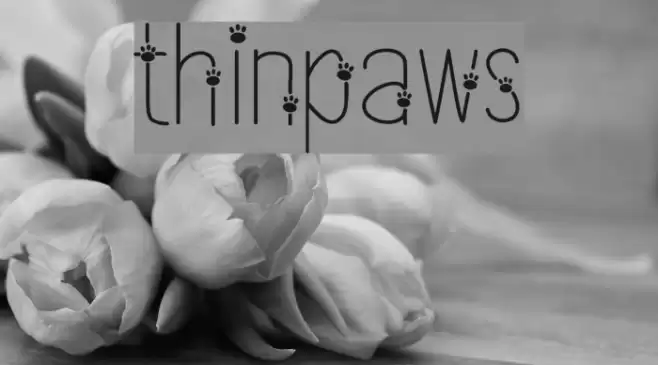 thinpaws Font examples