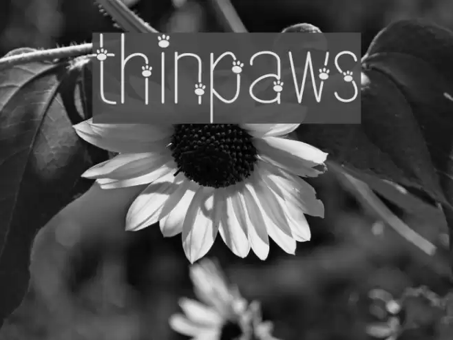 thinpaws Font examples