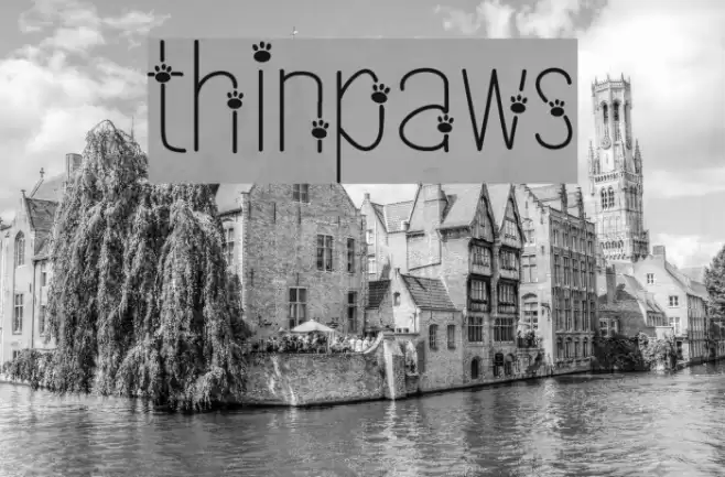 thinpaws Font examples