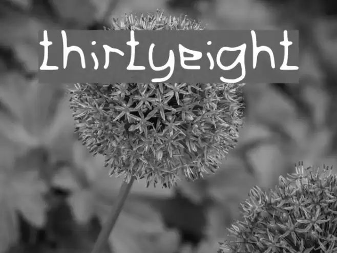 thirtyeight Polices examples