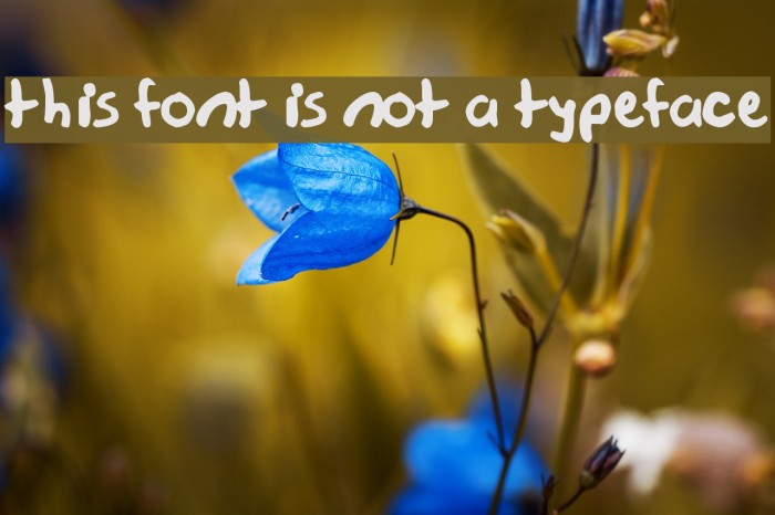 this font is not a typeface Font examples