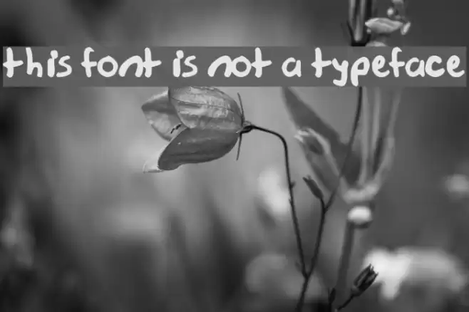 this font is not a typeface Fuentes examples