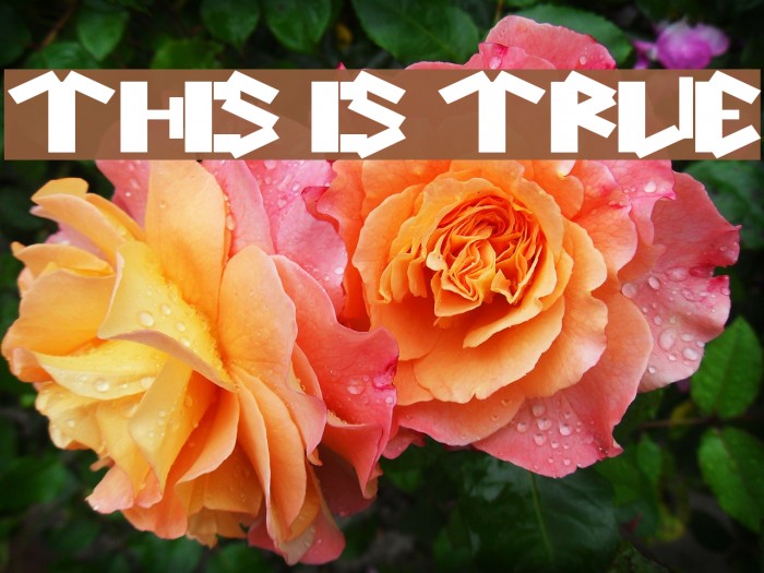 this is true Font examples