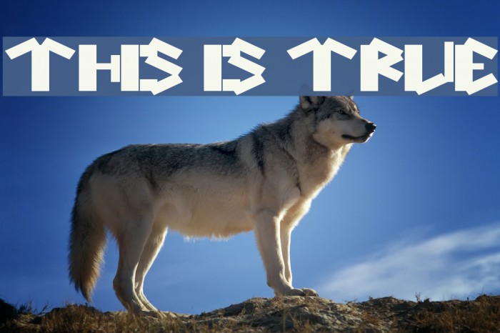 this is true Font examples
