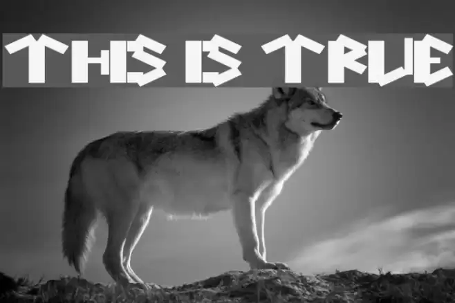 this is true Font examples