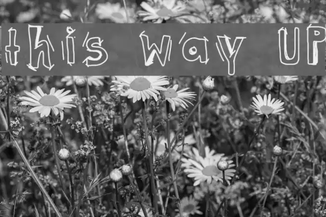 this way UP Font examples