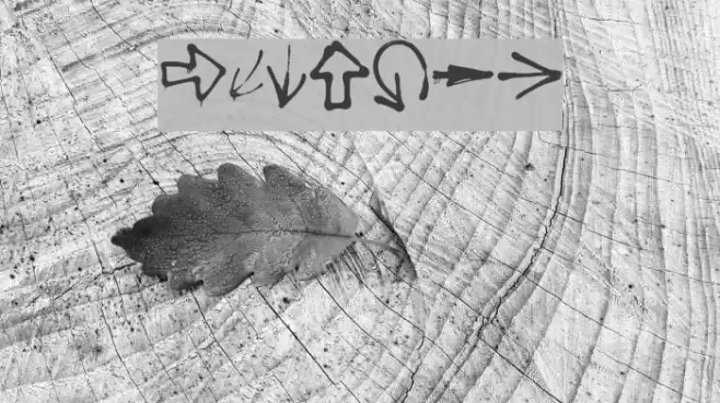 thisway Fonte examples