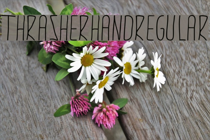 thrasherhandRegular Font examples
