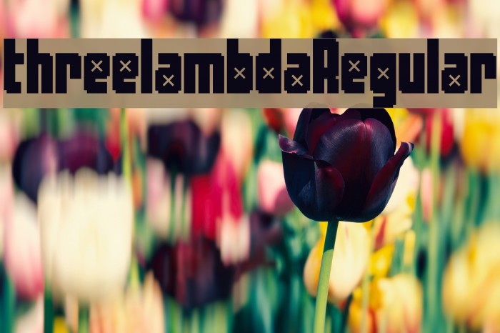 threelambdaRegular Font examples