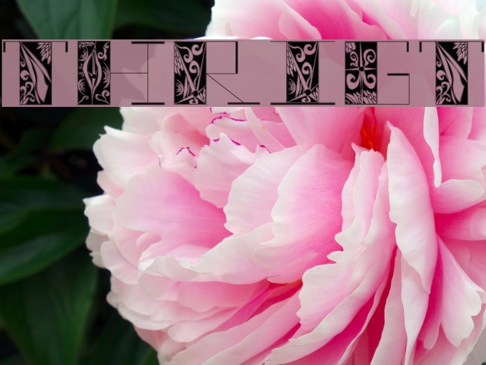 thrigt Font examples