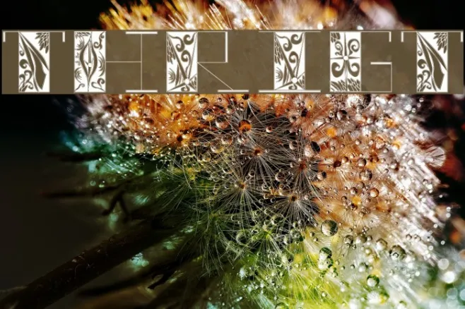thrigt Example 3
