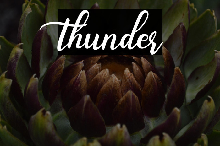 thunder Example 3