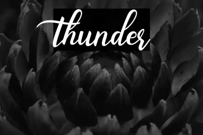 thunder Font examples