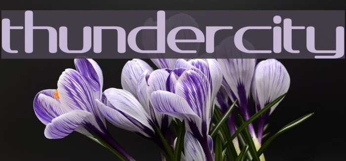 thundercity Font examples