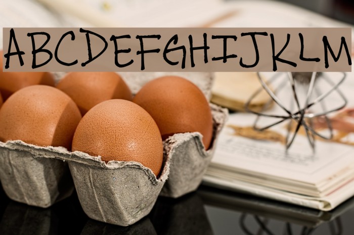 thuy's chicken scratch Font examples