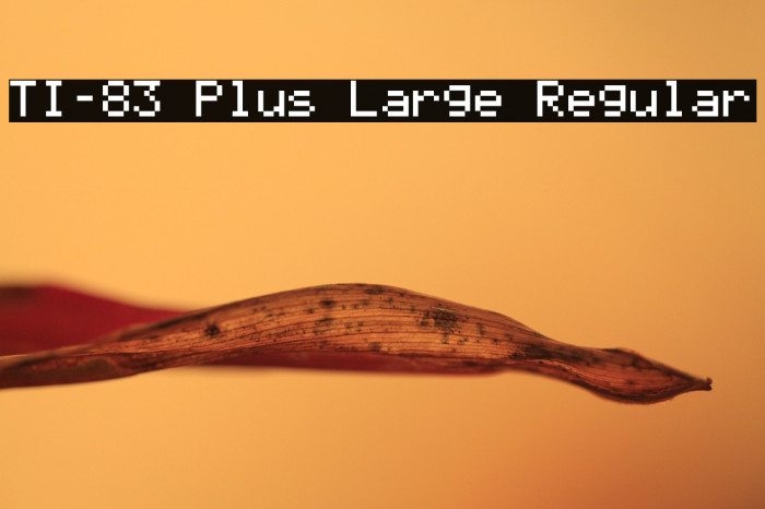 TI-83 Plus Large Regular Example 1